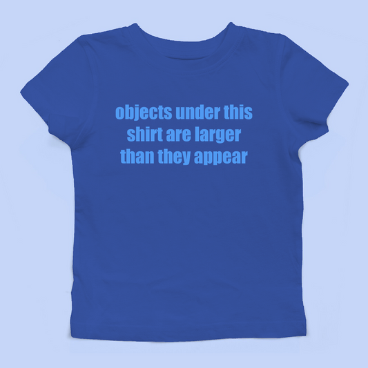 Objects Under This Shirt Baby Tee
